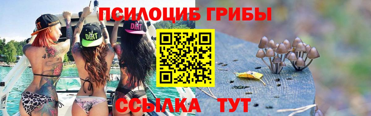 Каменка  Псилоцибиновые грибы Magic Shrooms  Псилоцибиновые грибы Magic Shrooms  Вход с VPN 